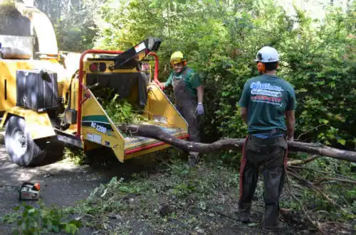 tree services Shoal Creek